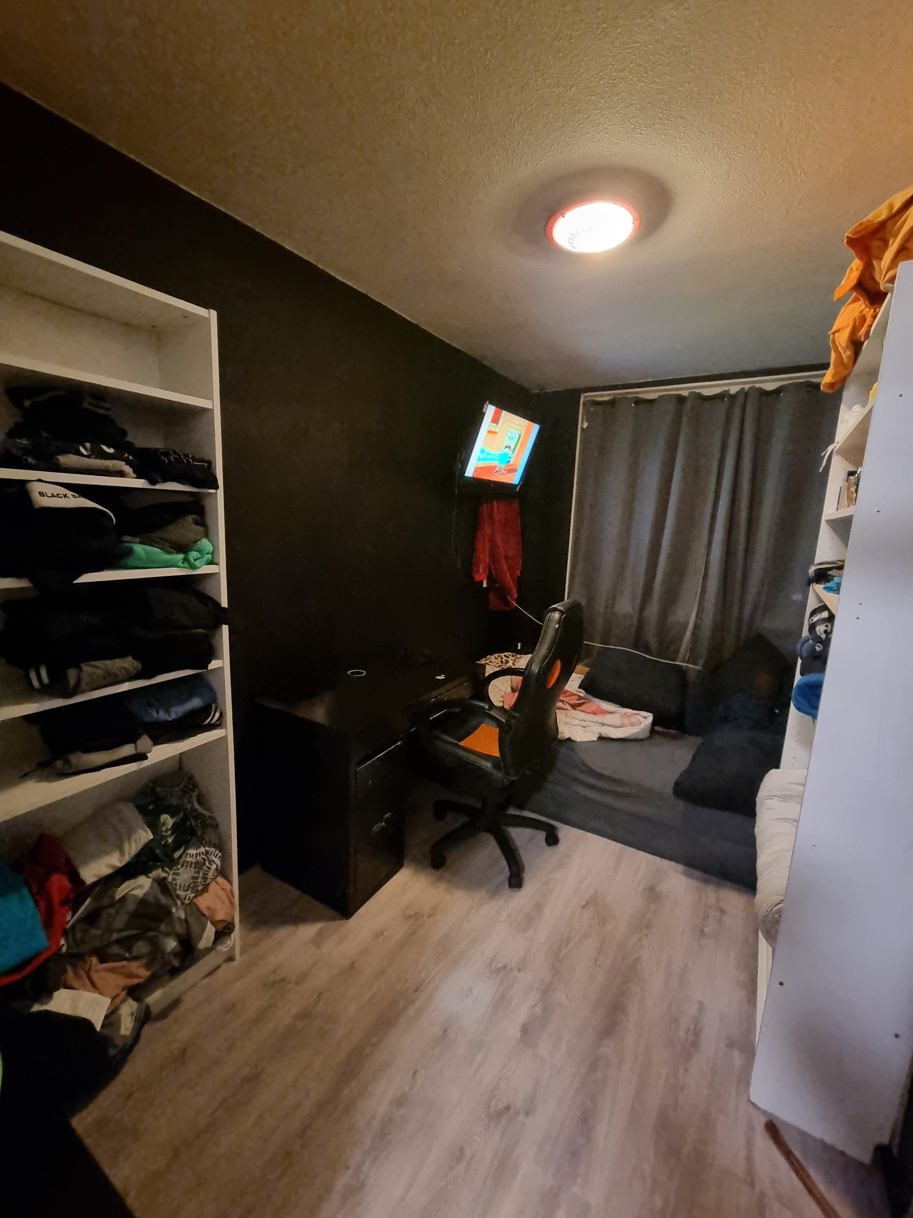 Image 5