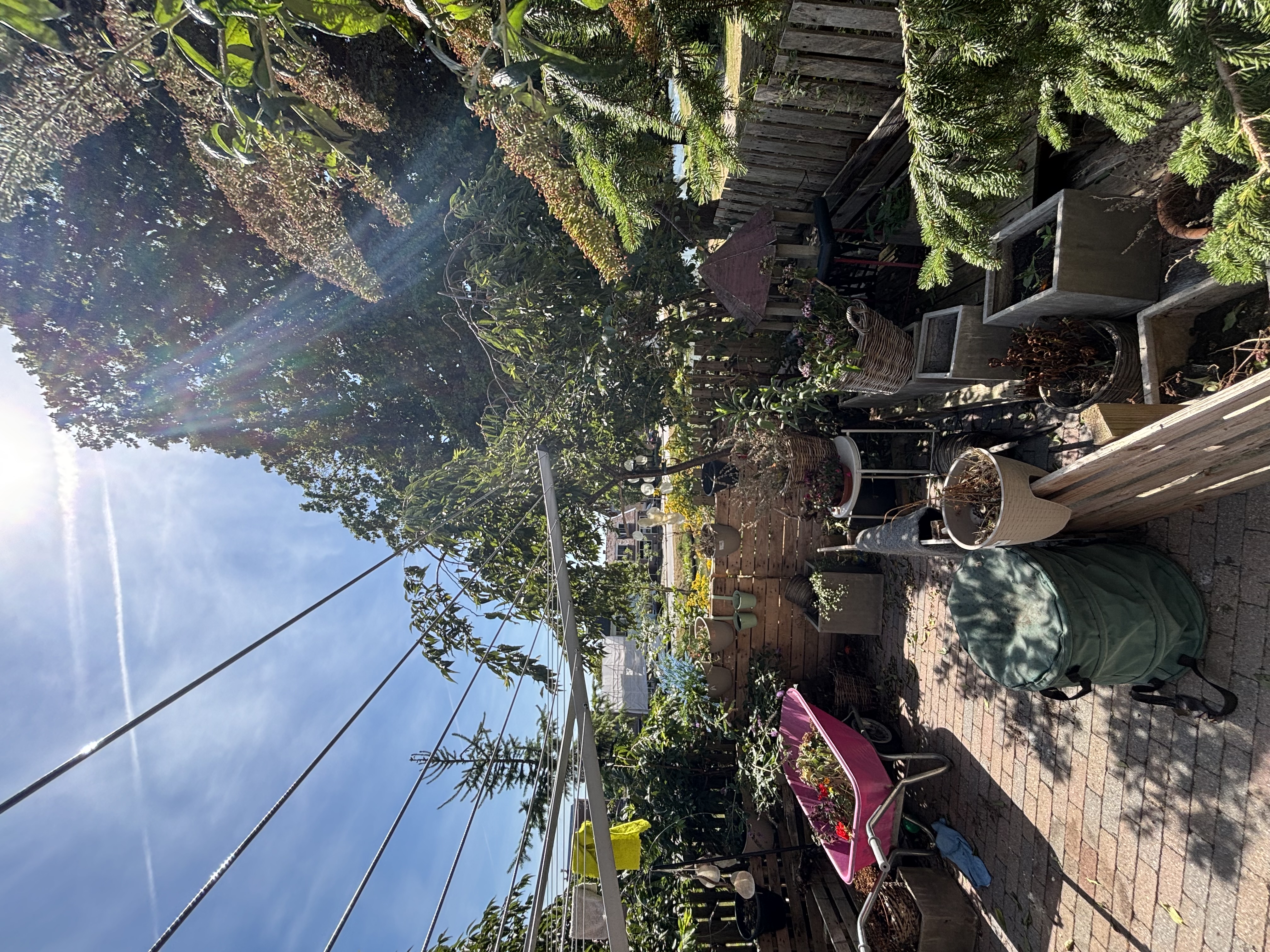 Image of Westereiland