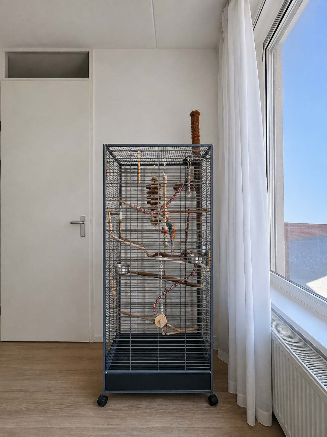 Image 7