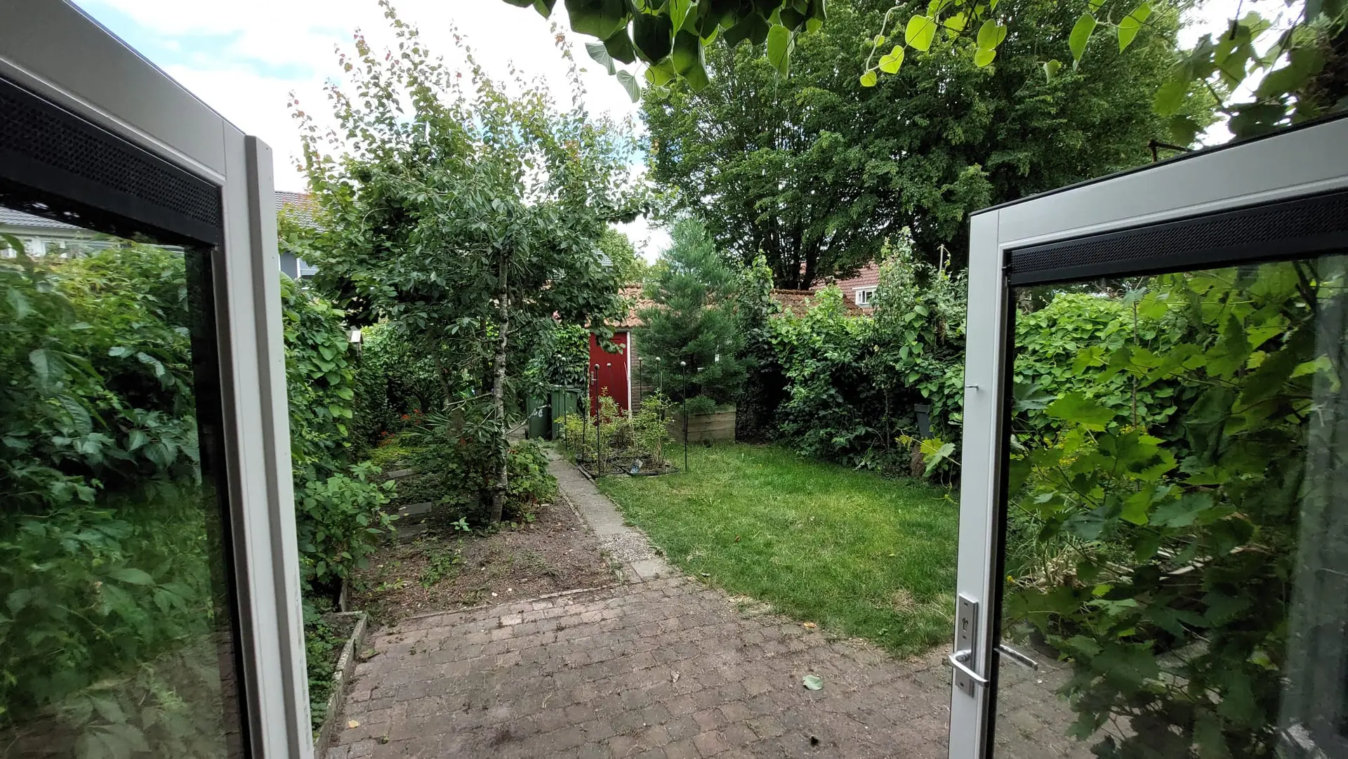 Image 7