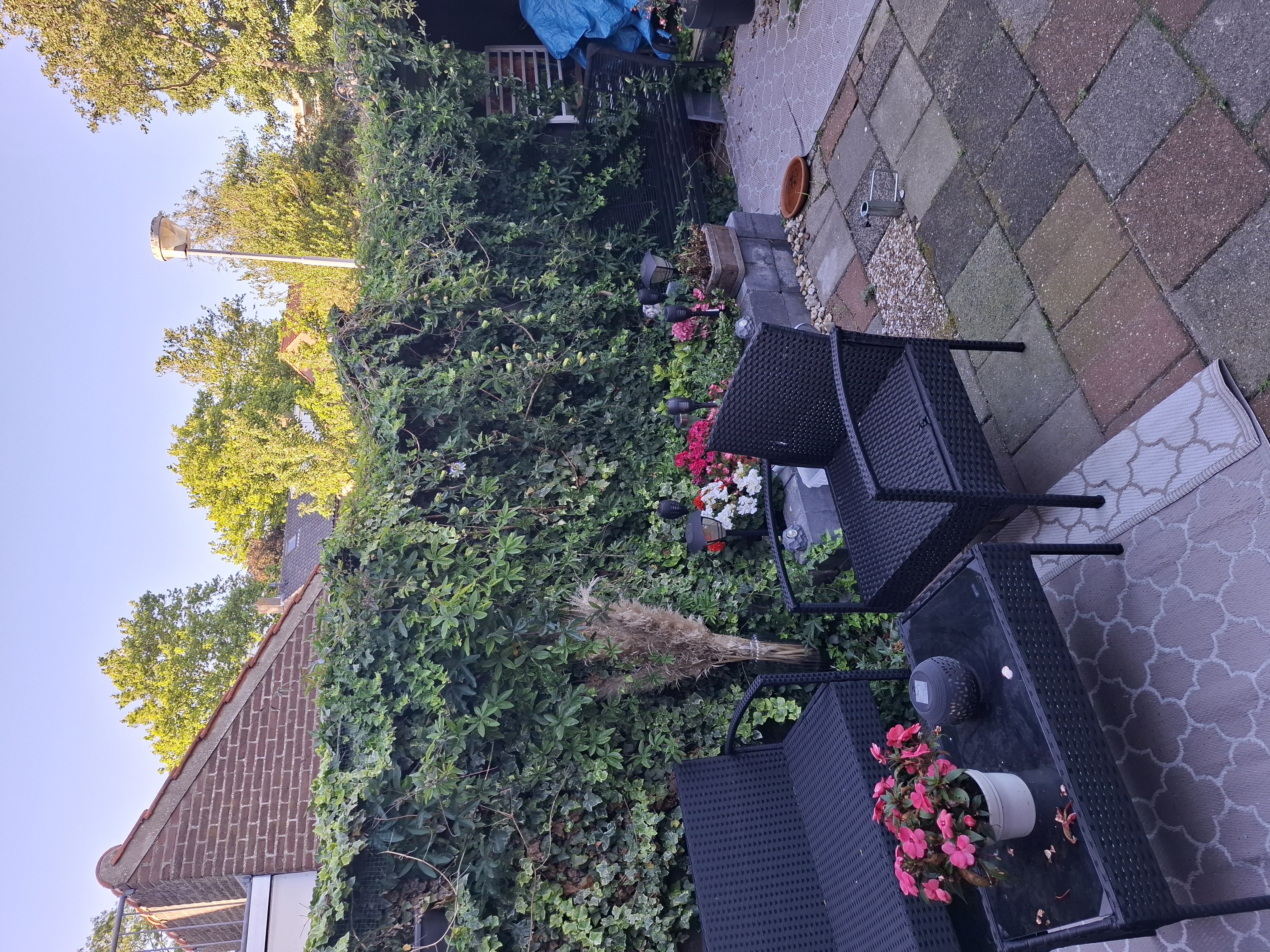 Image of Carel van Manderstraat